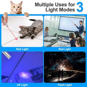 Makerfire 2 in 1 Cat Interactive Toy Dog Cat Catch Exercise Chaser Toy Pet Scratching Training Tool with USB Cable